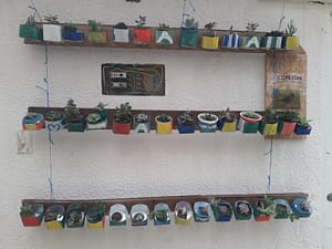 Agroécologie Fondacio Colombie